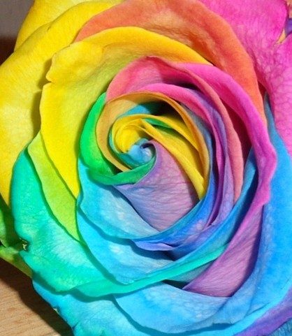 Was ist Reiki - Informationen zu Reiki - Ferneinweihung Regenbogengöttin Iris Helaria